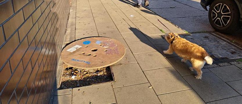 Pułapka na przechodniów na ul. 5 Lipca w Szczecinie