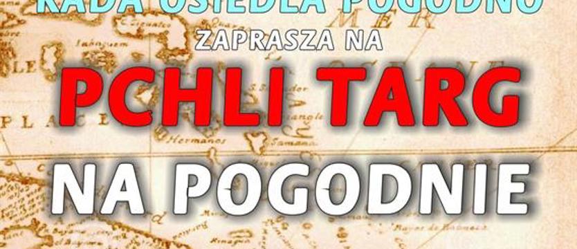 Pchli targ na szczecińskim Pogodnie