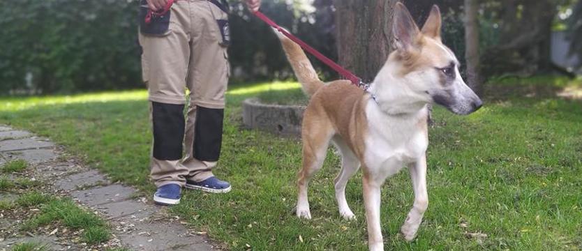 Oczy tej małej. Weź mnie KURIEREM do domu