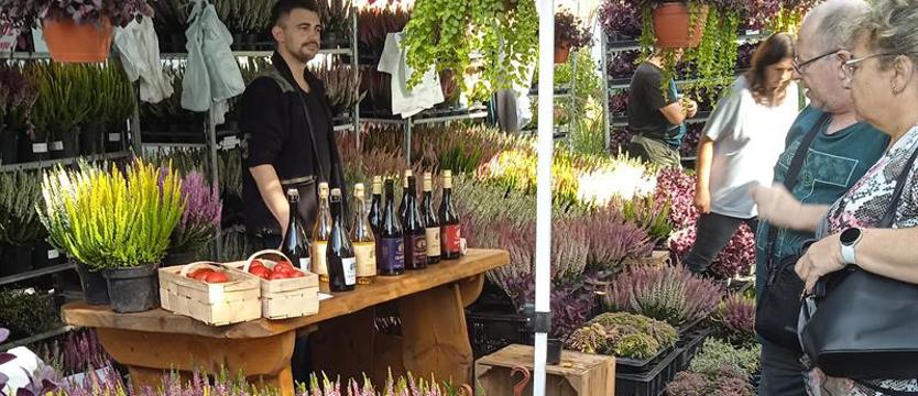 Pamiętajcie o ogrodach. Kiermasz, wałówka i Wały, czyli zieleń ze smakiem