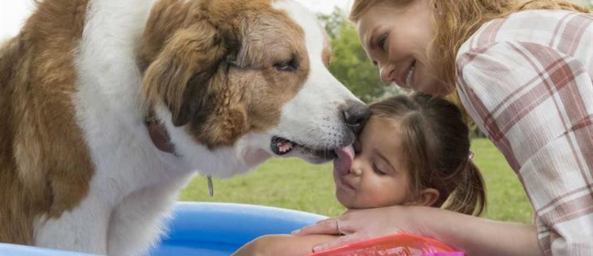 SZCZEKcin charytatywnie