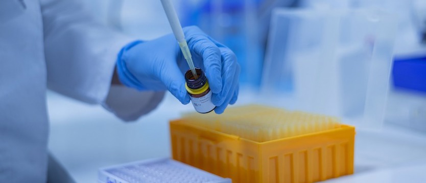 Ponad 12 tysięcy nowych zakażeń COVID-19 w kraju. Zmarło 207 osób