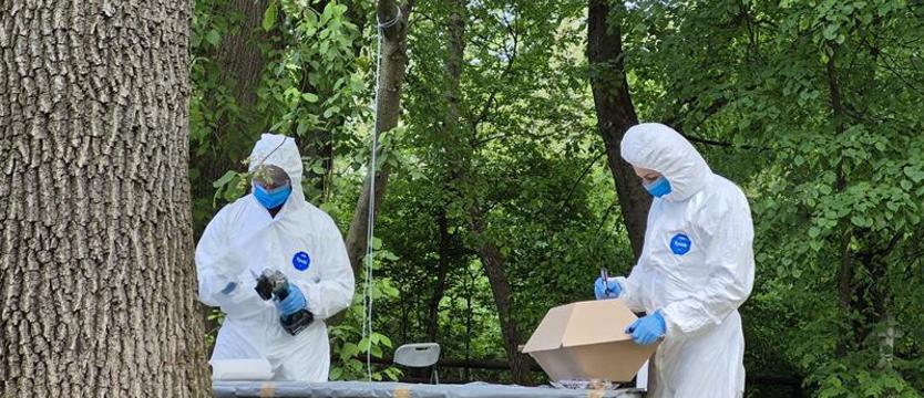 Szczecińscy genetycy zidentyfikują kolejne ofiary Ukraińców