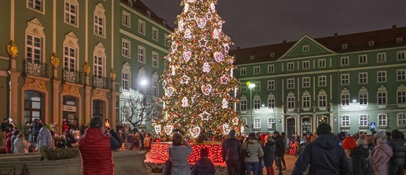 Nowa choinka przed szczecińskim magistratem rozbłysła o godzinie 17   