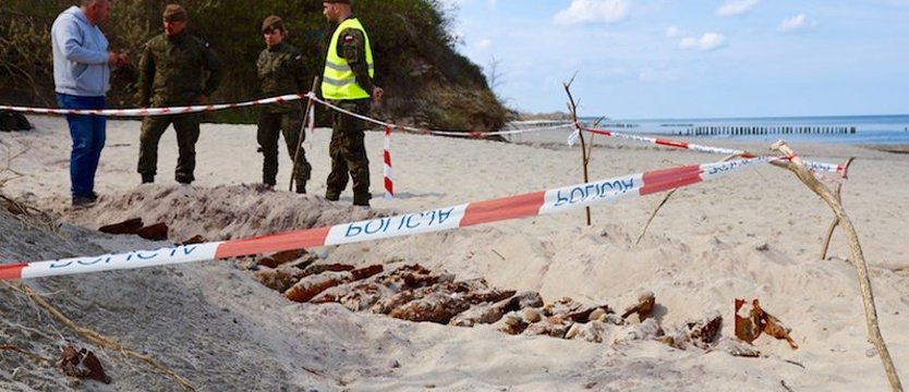 Odkryli niewybuchy na plaży w Podczelu