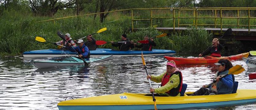 Wiosłowali na wyścigi i w rytmie bębna