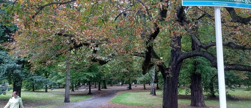 Twórcze spotkanie w parku. Na Pomorzanach - już w sobotę