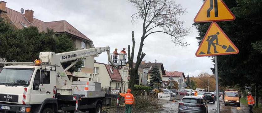 Drzewa przegrywają z inwestycją. Ruszyła modernizacja ul. Modrej i Koralowej