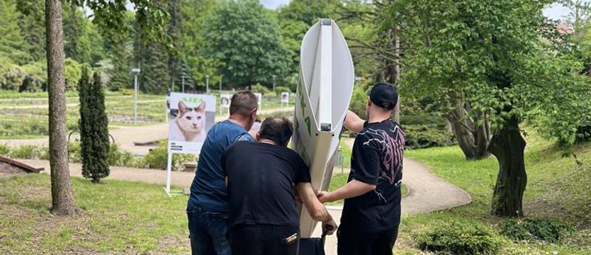 Zauważ, pokochaj, przygarnij. Serca i nadzieje wśród róż