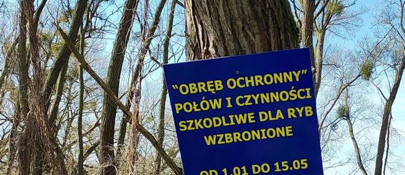 Łowili ryby tam, gdzie jest zakaz