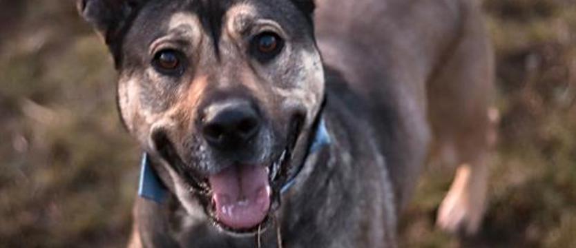 Obiecująca młoda Lara