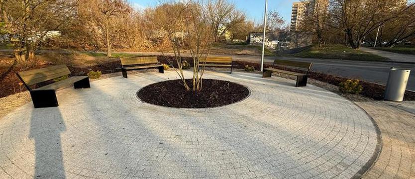 SBO dla Wiosny Ludów. Radna: „jeszcze będzie pięknie”