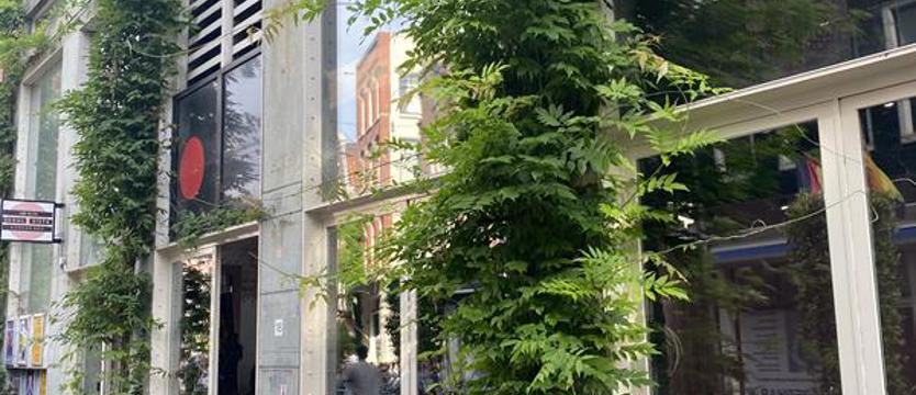 Zieleń (także) do pionu. Kolejna inicjatywa – jeszcze bez odpowiedzi urzędników miasta