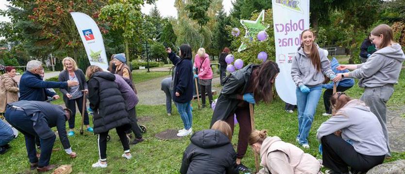Zapraszamy na krokusy. Tym razem na pl. Jakuba Wujka