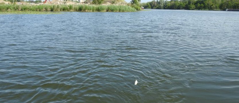 Odra wciąż pod obserwacją służb. Nielegalne połowy ryb chroniących się w Kanale Odyńca