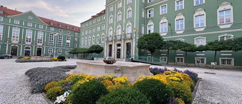 Szczecin nagrodzi najlepsze prace naukowe. Do zdobycia 80 tys. zł