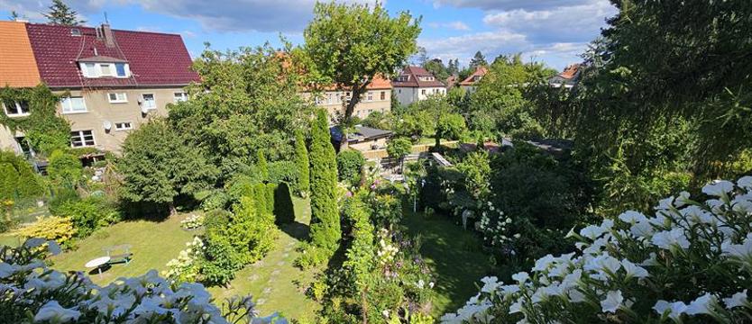 Miejska łąka na Pogodnie