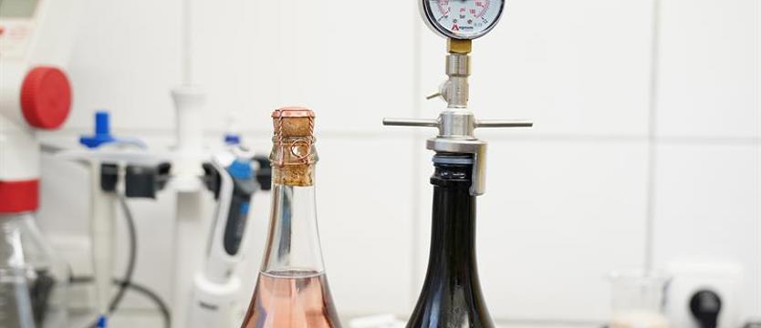 Studenci się uczą, jak produkować wino