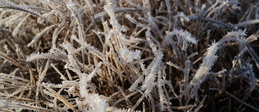 Zima nie odpuszcza. Tej nocy nawet minus 17 stopni C