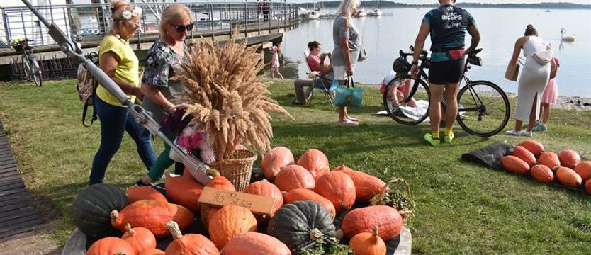 Złota Dynia nad Miedwiem już po raz 22.