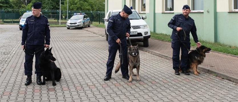 Pożegnanie psów policyjnych. Po dekadzie służby odchodzą na emeryturę