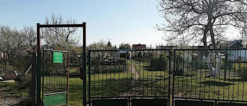 Bracia sieją terror