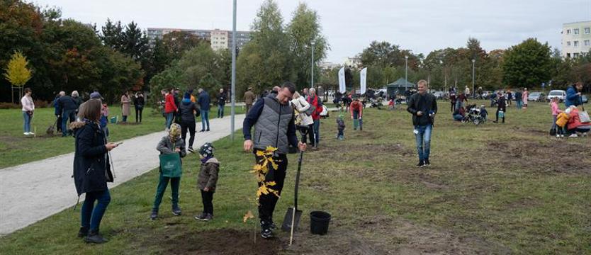 Dęby i lipy na pamiątkę. W parku na osiedlu Majowym sadzili kolejni rodzice