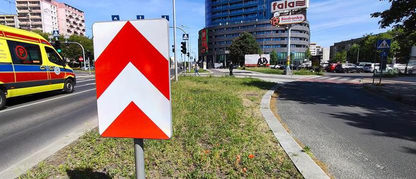 Miejsce dla drzew. Zieleń na miejskie „wyspy ciepła”