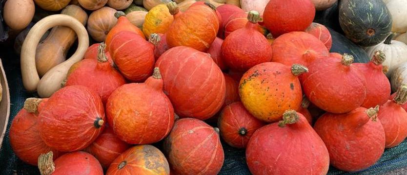 Nasiona dyni mogą obniżać poziom cholesterolu i chronić układ krążenia