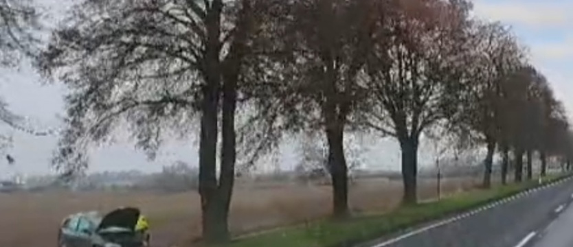 Fiat uderzył w drzewo