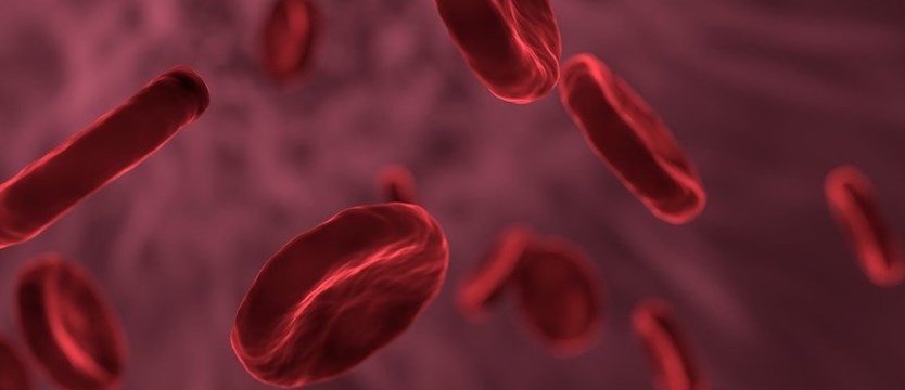 Naukowcy twierdzą, że znaleźli przyczynę rzadkich zakrzepów krwi po szczepionkach przeciw Covid-19