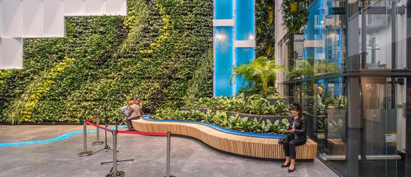 Czerwone świato dla zielonych ścian? Pomysłodawca: „Jest cisza, nie dzieje się nic”