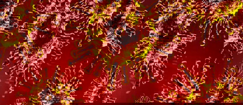 W kraju 22 683 nowe zakażenia koronawirusem. Zmarło 275 osób