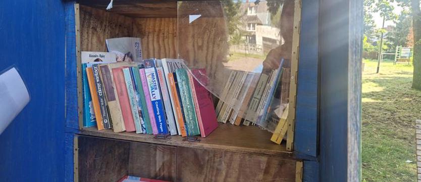 Kto naprawi niszczejącą biblioteczkę?