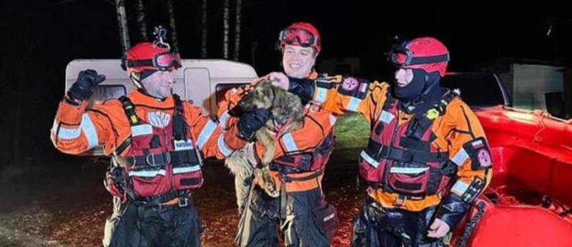 Przejechali 700 kilometrów, by uratować szczeniaka