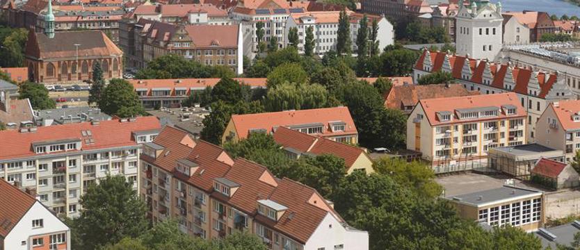 Zieleń na trzy lata. W parkach, na skwerach i w pasach drogowych