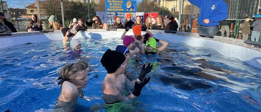 Wielka impreza małych morsów w Szczecinie