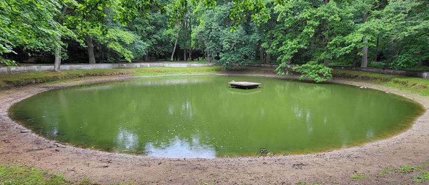 Kołobrzeski staw w końcu wypięknieje?