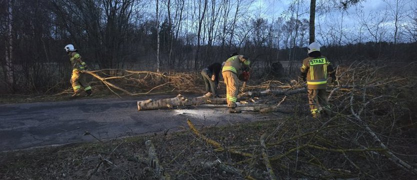 Straż Pożarna: ponad 2000 interwencji strażaków w związku z silnym wiatrem