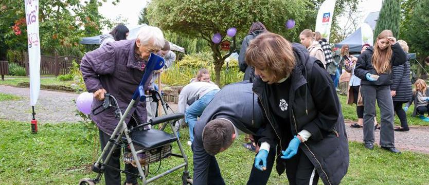 Czas na krokusowe pola