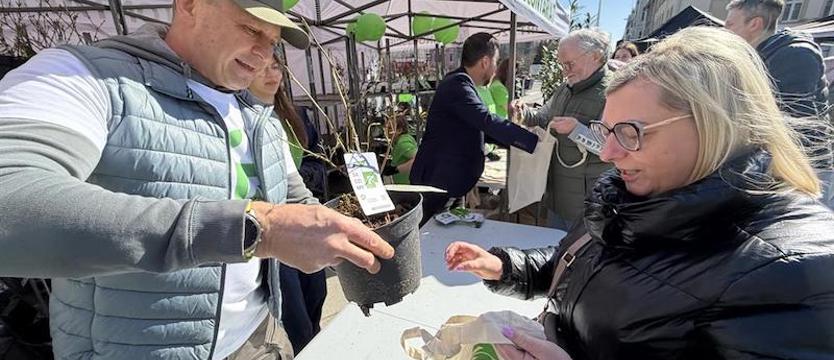 Wielkie wiosenne rozdawanie sadzonek w Świnoujściu