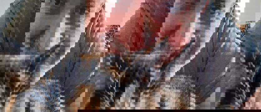 Klasycznie i barokowo. 1/2 duetu After Blues z domowego zacisza