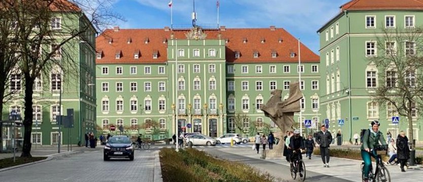 Będzie nowa choinka przed szczecińskim magistratem!