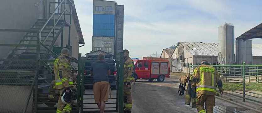 Pod Stargardem spaliły się kurniki