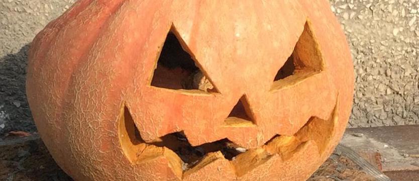 Szpilki w halloweenowych cukierkach. Prokuratura umorzyła dochodzenie