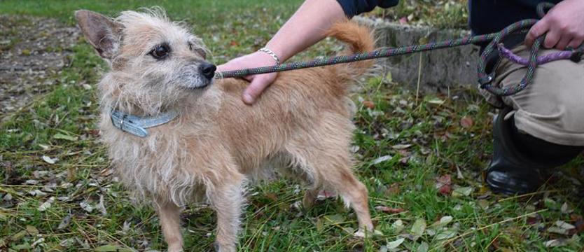 Weź mnie KURIEREM do domu. Bezek na lepszy czas