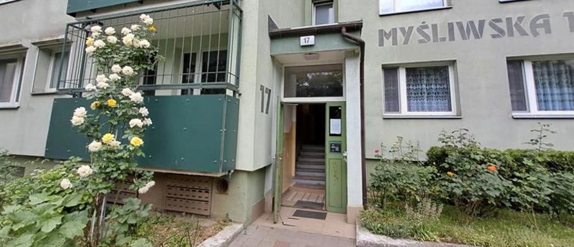 Cieszy każdy kwiat. Sąsiedzka róża