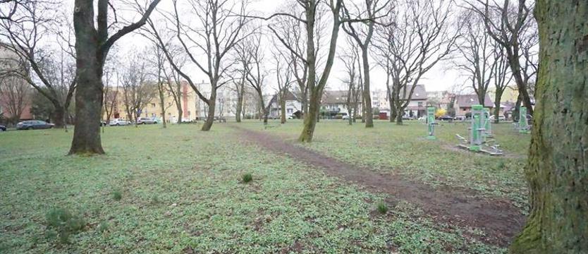 Dwadzieścia latarni na Pomorzanach. Kto oświetli park?