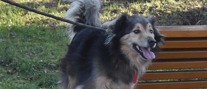 Kuba, orzechy i kita w górze