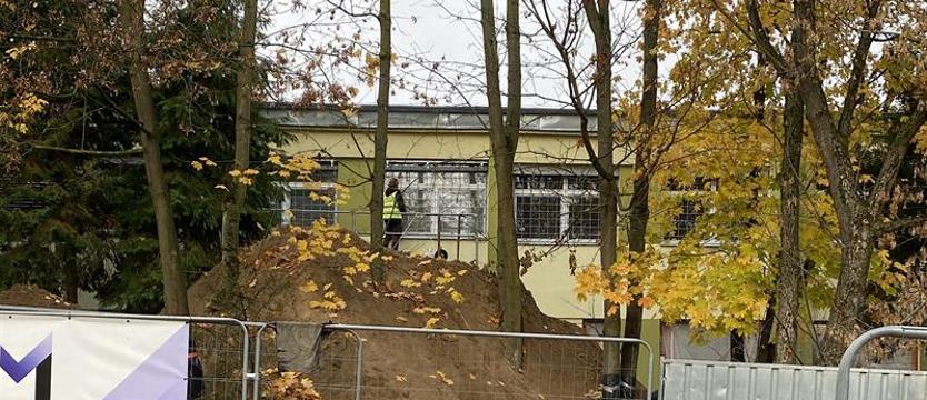 Pejzaż bez drzew? Szpitale, zieleń i gojenie ran